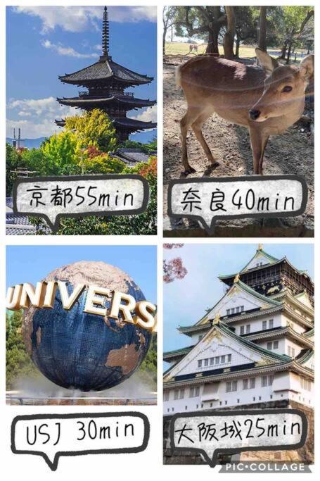 Open Sale: Spacious Namba Near Dotonbori * Osaka